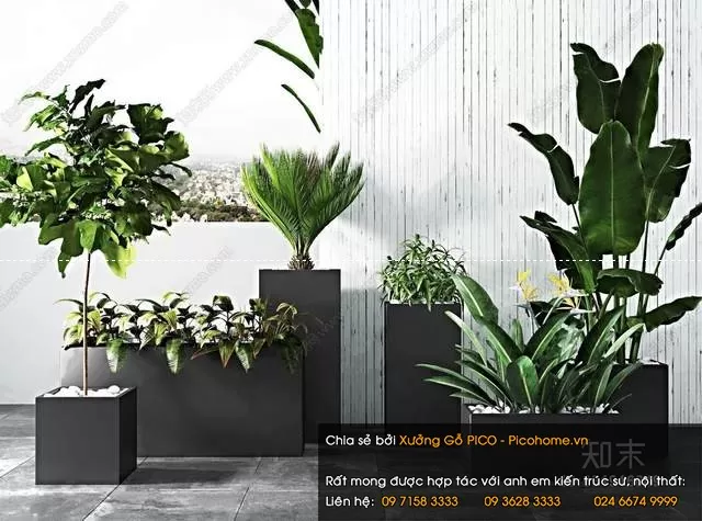 FLOWER – PLANT 3D MODELS – 344 FLOWER – PLANT 3D MODELS – 344