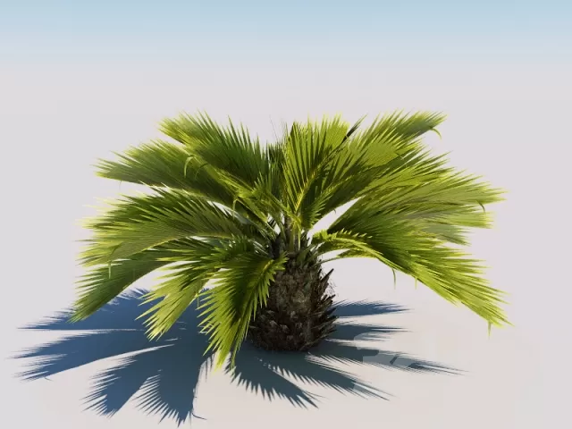 FLOWER – PLANT 3D MODELS – 347 FLOWER – PLANT 3D MODELS – 347