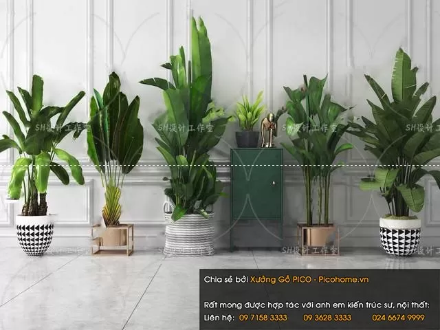 FLOWER – PLANT 3D MODELS – 348 FLOWER – PLANT 3D MODELS – 348