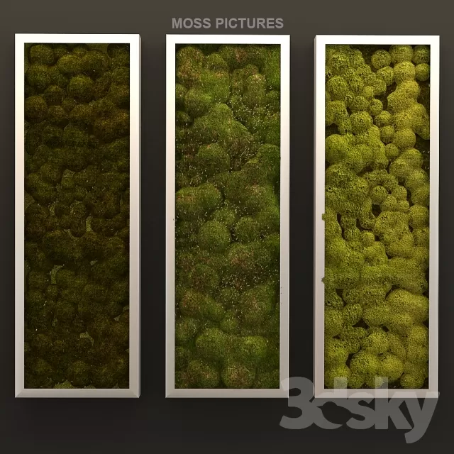 FLOWER – PLANT 3D MODELS – 349 FLOWER – PLANT 3D MODELS – 349