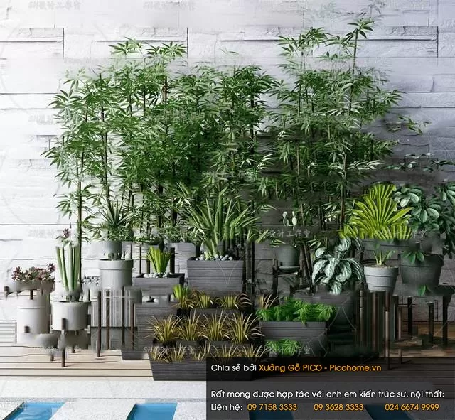 FLOWER – PLANT 3D MODELS – 356 FLOWER – PLANT 3D MODELS – 356