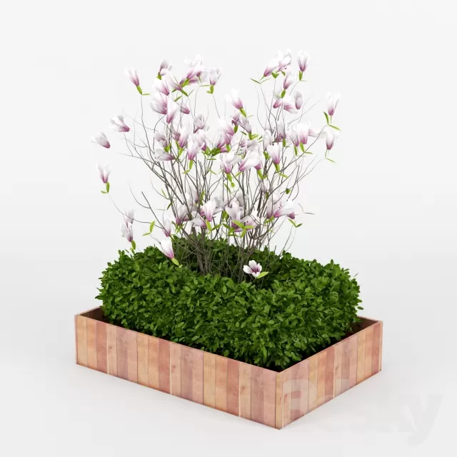 FLOWER – PLANT 3D MODELS – 358 FLOWER – PLANT 3D MODELS – 358