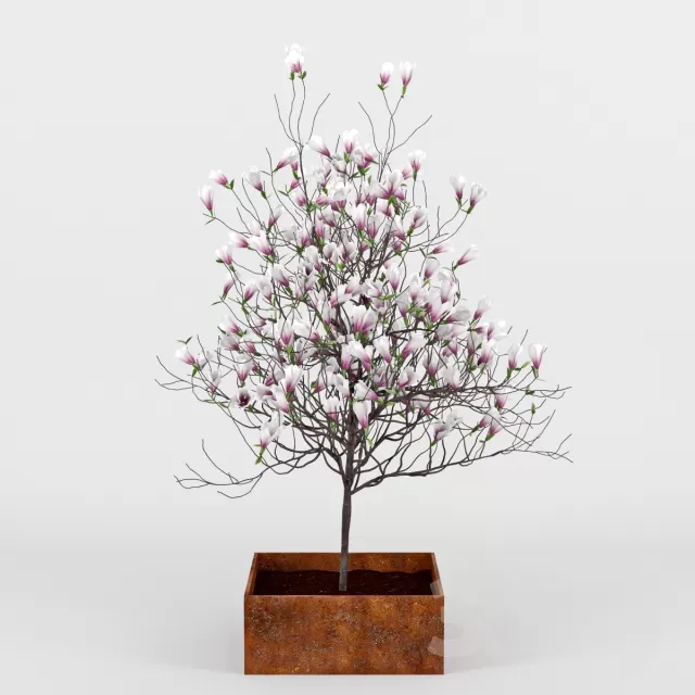 FLOWER – PLANT 3D MODELS – 360 FLOWER – PLANT 3D MODELS – 360