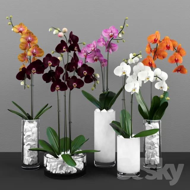 FLOWER – PLANT 3D MODELS – 361 FLOWER – PLANT 3D MODELS – 361