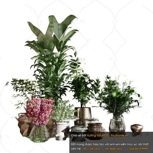 FLOWER – PLANT 3D MODELS – 371 FLOWER – PLANT 3D MODELS – 371