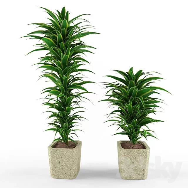 FLOWER – PLANT 3D MODELS – 383 FLOWER – PLANT 3D MODELS – 383