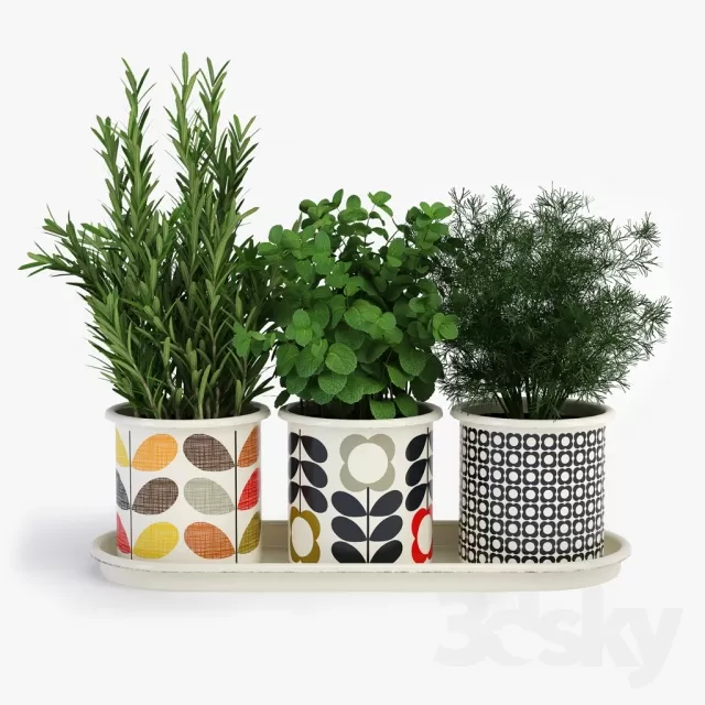 FLOWER – PLANT 3D MODELS – 387 FLOWER – PLANT 3D MODELS – 387