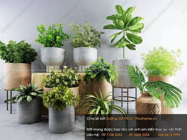 FLOWER – PLANT 3D MODELS – 392 FLOWER – PLANT 3D MODELS – 392