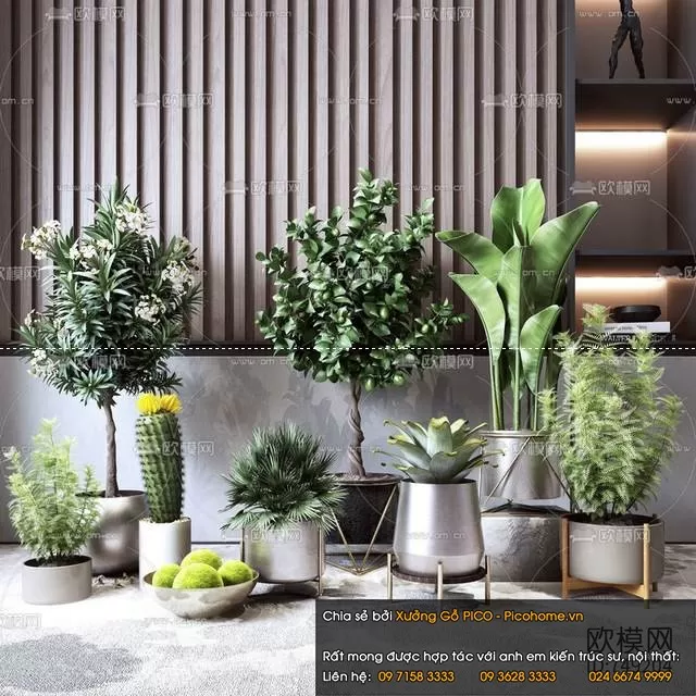 FLOWER – PLANT 3D MODELS – 005 FLOWER – PLANT 3D MODELS – 005