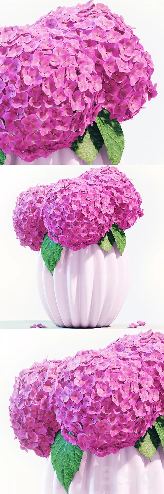 FLOWER – PLANT 3D MODELS – 415 FLOWER – PLANT 3D MODELS – 415