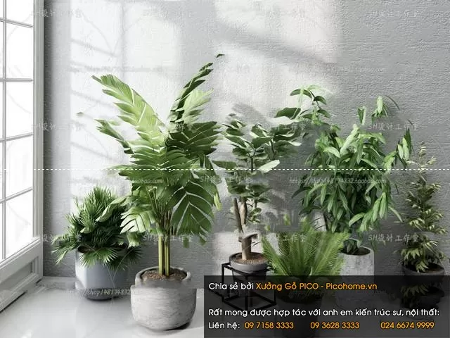 FLOWER – PLANT 3D MODELS – 416 FLOWER – PLANT 3D MODELS – 416