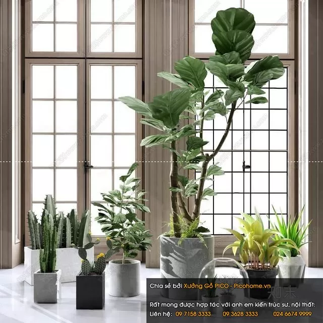 FLOWER – PLANT 3D MODELS – 436