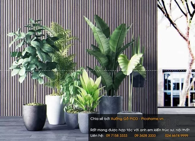 FLOWER – PLANT 3D MODELS – 458