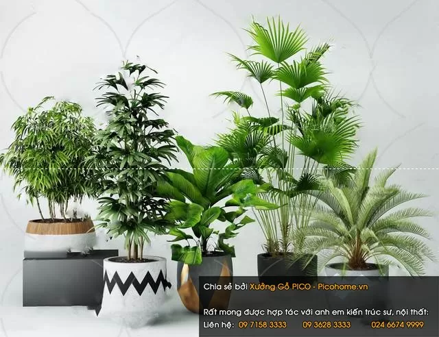 FLOWER – PLANT 3D MODELS – 460