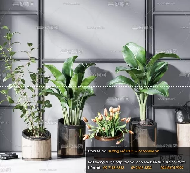 FLOWER – PLANT 3D MODELS – 480