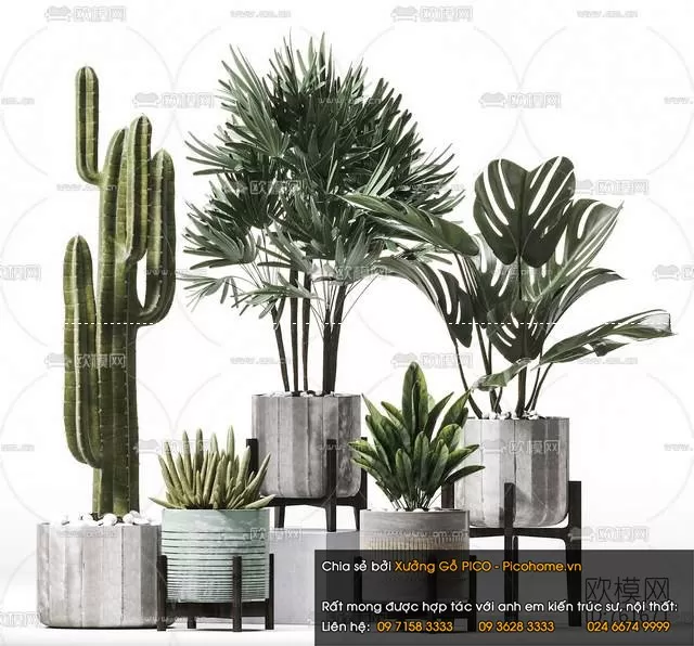 FLOWER – PLANT 3D MODELS – 490