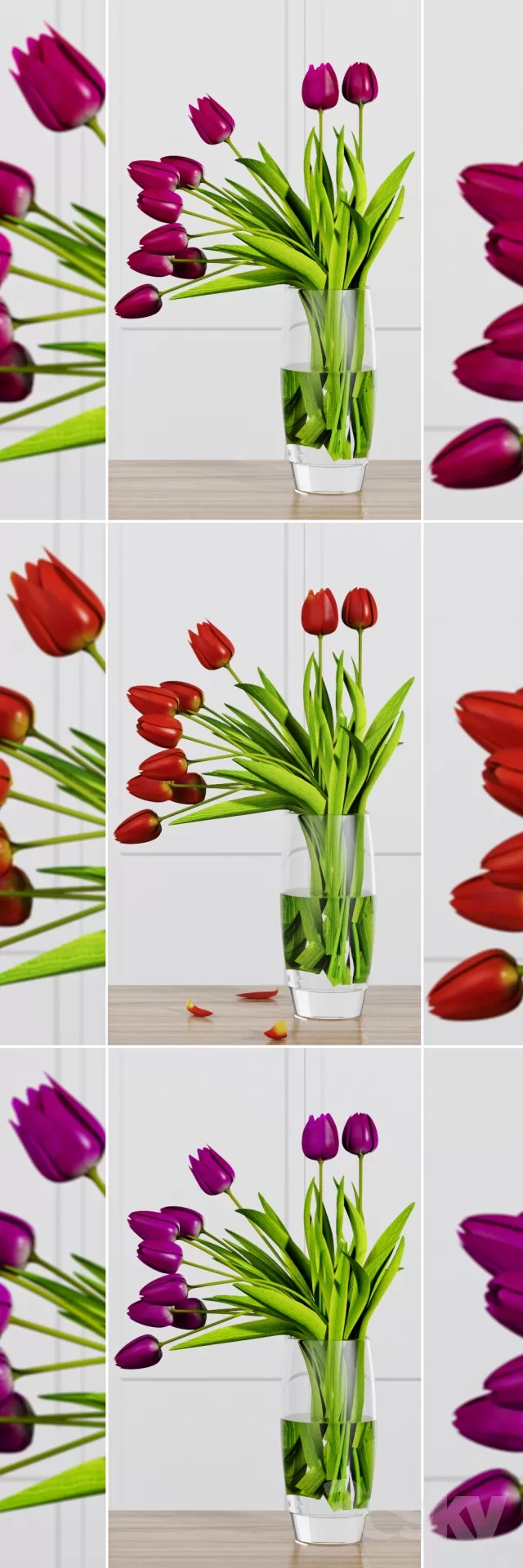 FLOWER – PLANT 3D MODELS – 496