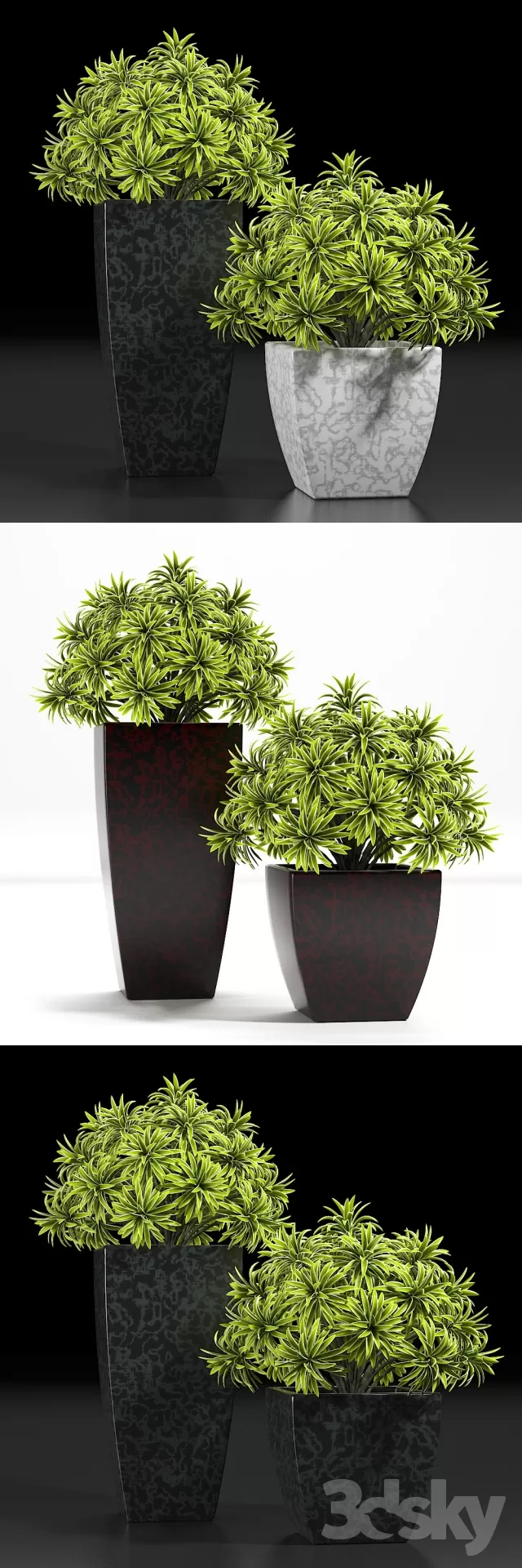 FLOWER – PLANT 3D MODELS – 502