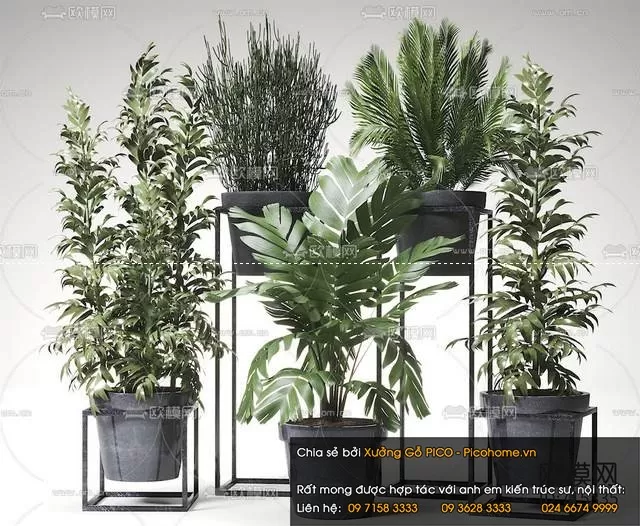 FLOWER – PLANT 3D MODELS – 504