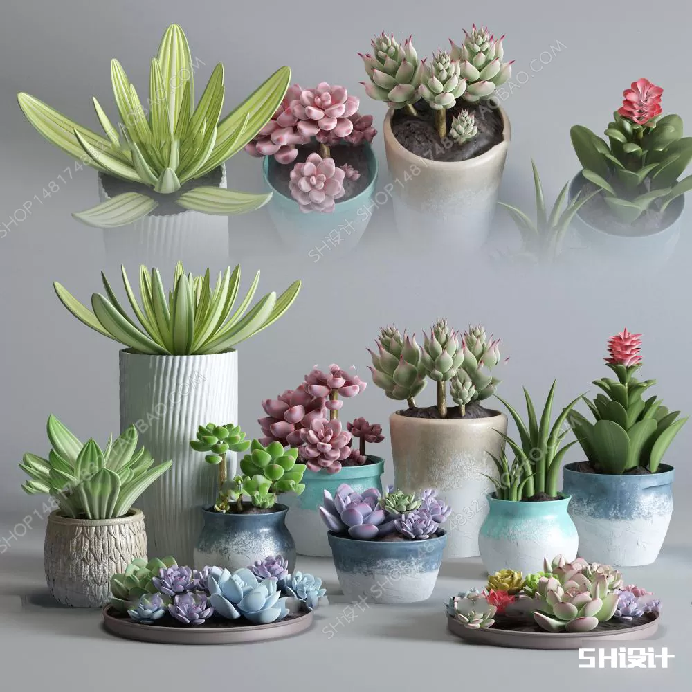 FLOWER – PLANT 3D MODELS – 505