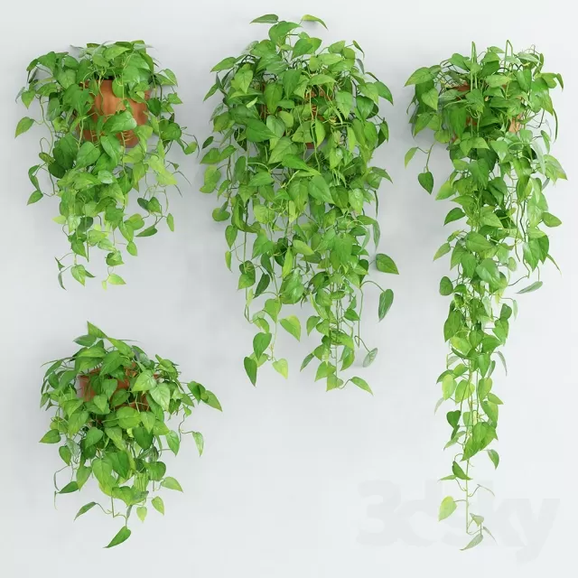 FLOWER – PLANT 3D MODELS – 512