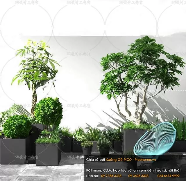 FLOWER – PLANT 3D MODELS – 516
