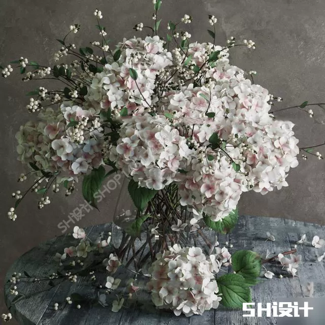 FLOWER – PLANT 3D MODELS – 517