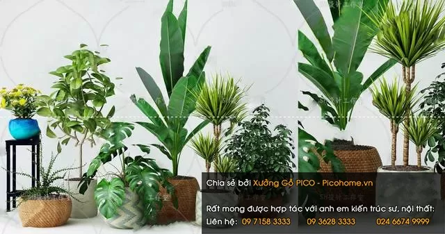 FLOWER – PLANT 3D MODELS – 522