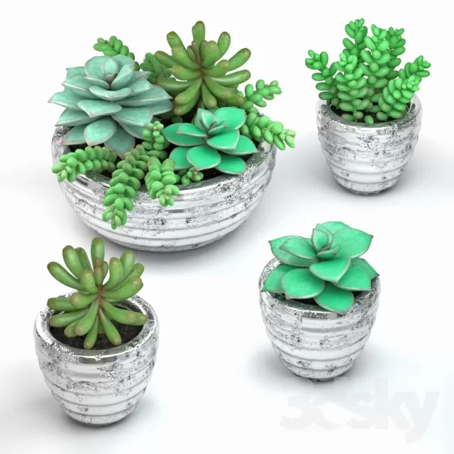FLOWER – PLANT 3D MODELS – 528