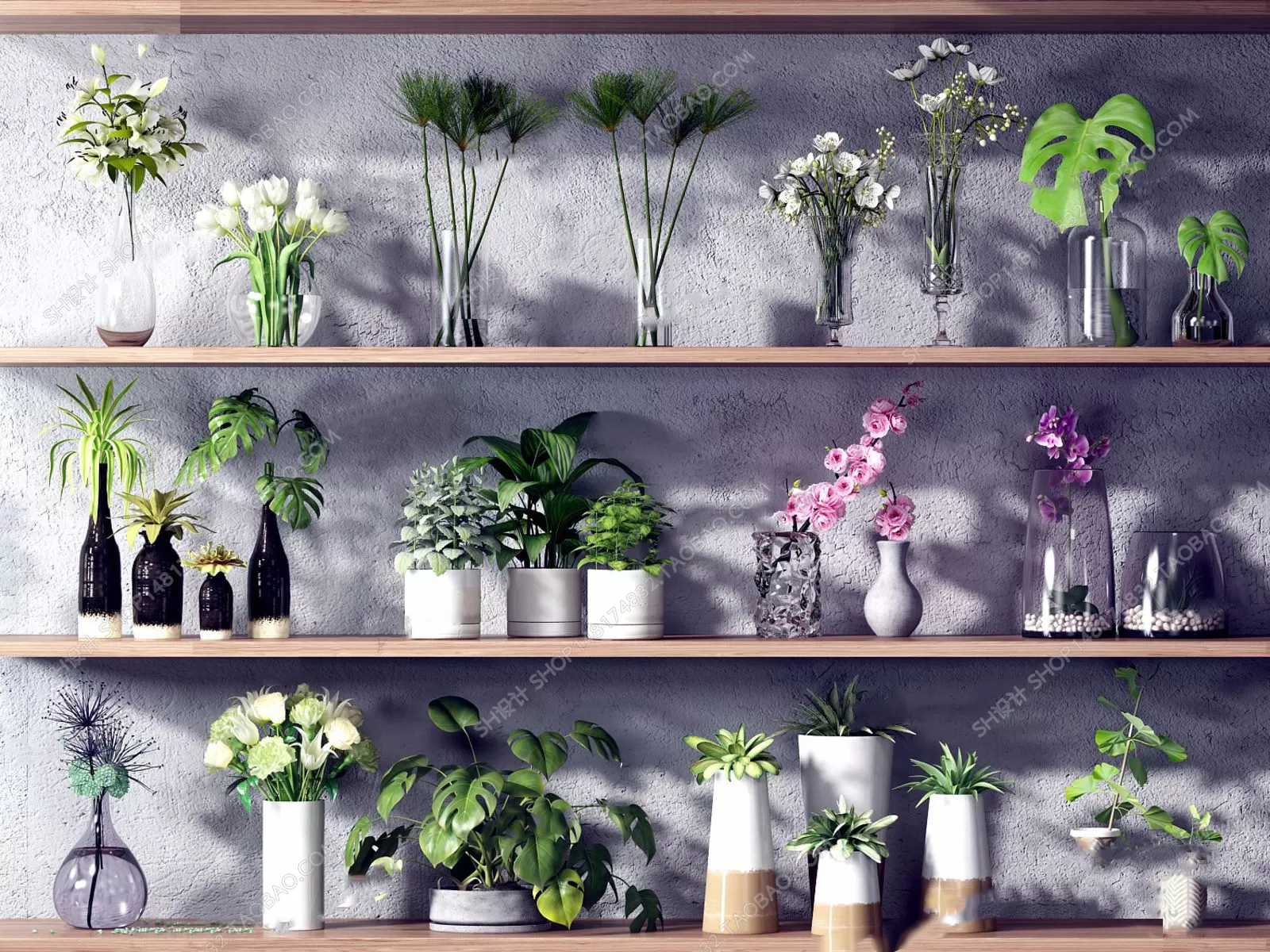 FLOWER – PLANT 3D MODELS – 536