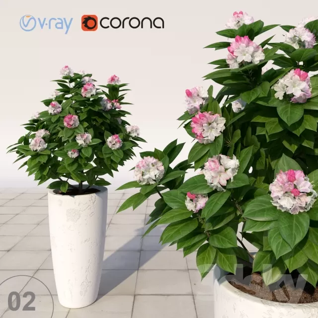 FLOWER – PLANT 3D MODELS – 538