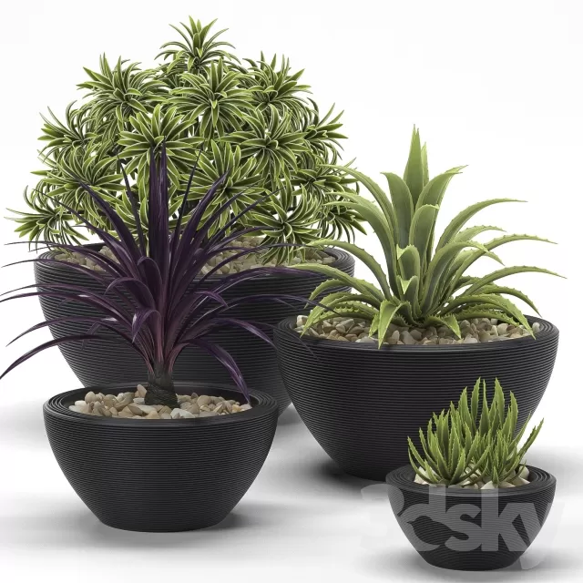 FLOWER – PLANT 3D MODELS – 542