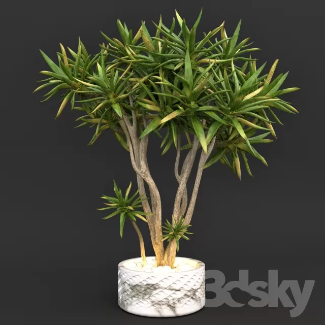 FLOWER – PLANT 3D MODELS – 544