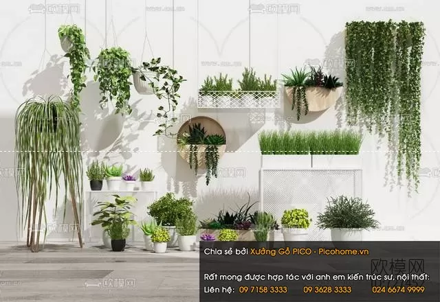 FLOWER – PLANT 3D MODELS – 547