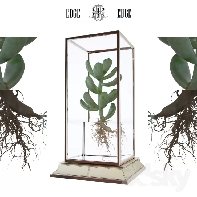 FLOWER – PLANT 3D MODELS – 056 FLOWER – PLANT 3D MODELS – 056