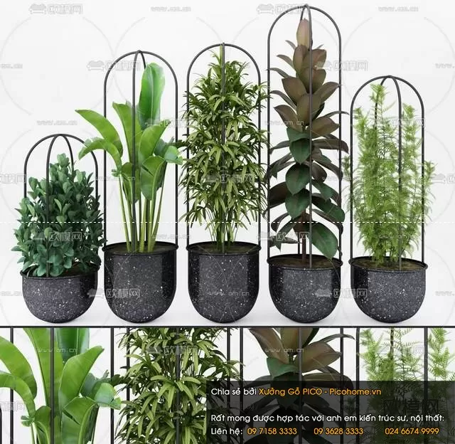 FLOWER – PLANT 3D MODELS – 559