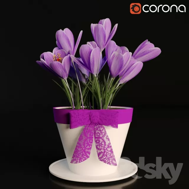 FLOWER – PLANT 3D MODELS – 562