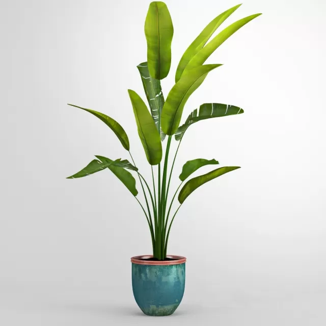 FLOWER – PLANT 3D MODELS – 564