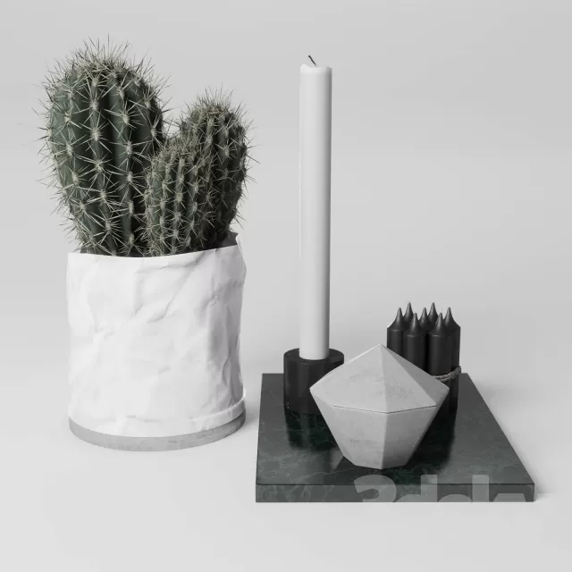 FLOWER – PLANT 3D MODELS – 568