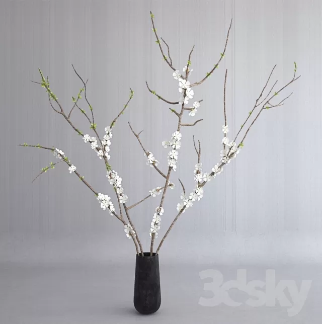 FLOWER – PLANT 3D MODELS – 569