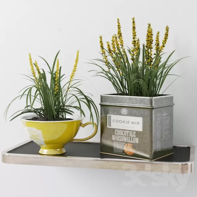 FLOWER – PLANT 3D MODELS – 574