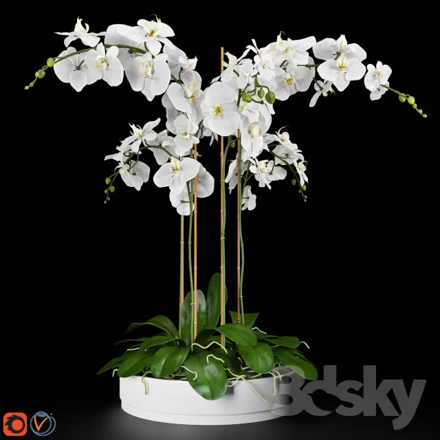 FLOWER – PLANT 3D MODELS – 579