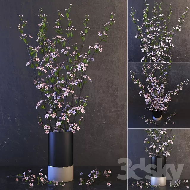 FLOWER – PLANT 3D MODELS – 584