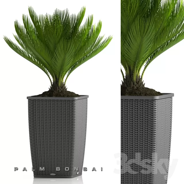 FLOWER – PLANT 3D MODELS – 590