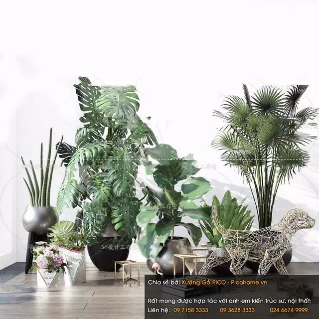 FLOWER – PLANT 3D MODELS – 595