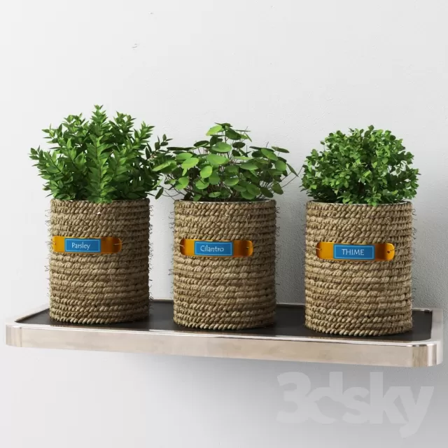 FLOWER – PLANT 3D MODELS – 614