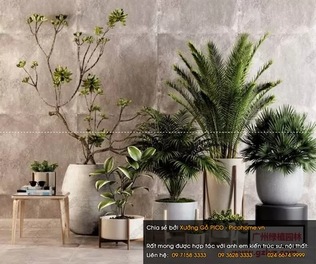 FLOWER – PLANT 3D MODELS – 634