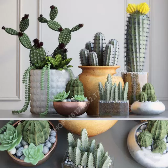 FLOWER – PLANT 3D MODELS – 635