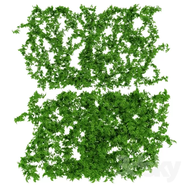 FLOWER – PLANT 3D MODELS – 641