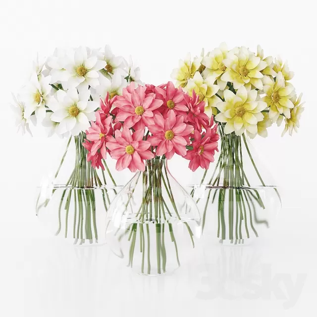 FLOWER – PLANT 3D MODELS – 645
